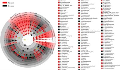 Bacterioplankton Richness and Composition in a Seasonal Urban River